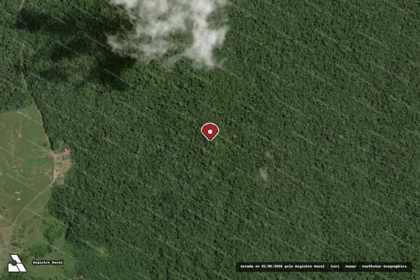 Imagem de satélite de Infração Ambiental em Centro Novo do Maranhão - MA (marcador da localização)