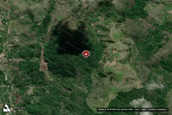 Imagem de satélite — Embargo IBAMA — Infração Ambiental - Joaquim Gomes/AL