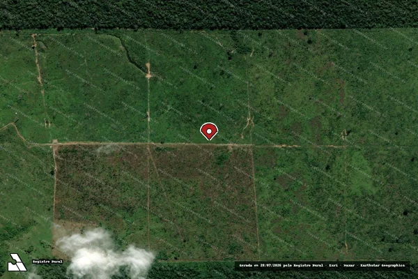 Imagem de satélite de Infração da Flora em Porto Velho - RO (marcador da localização)