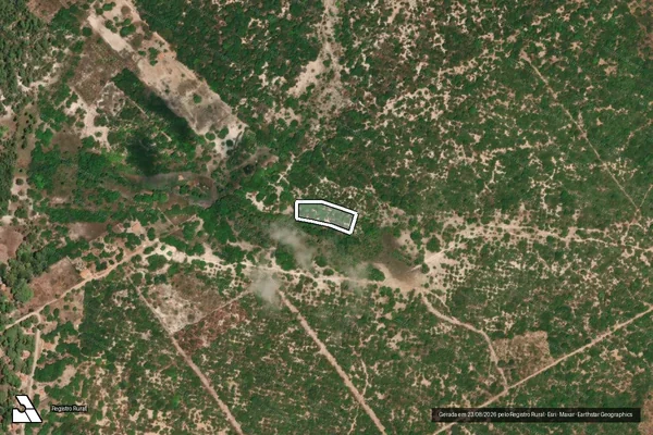 Imagem de satélite — Embargo IBAMA — Infração da Flora — Coivaras/PI