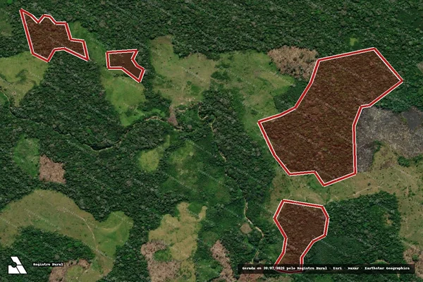 Imagem de satélite de Infração da Flora em Feijó - AC