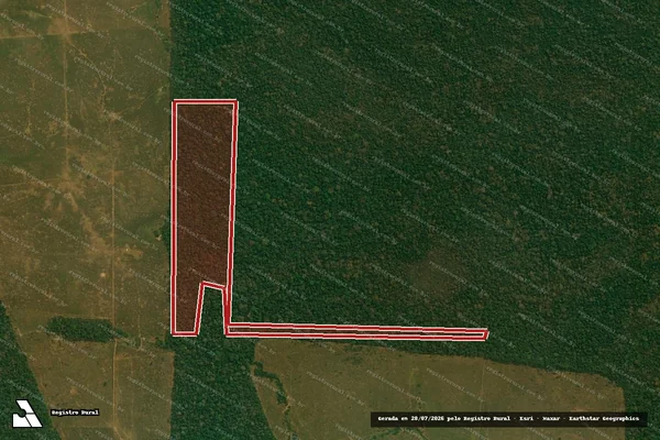Imagem de satélite de Infração da Flora em Alvorada D'Oeste - RO