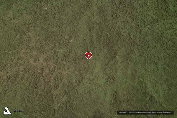 Imagem de satélite de Infração Ambiental em Vila Rica - MT (marcador da localização)