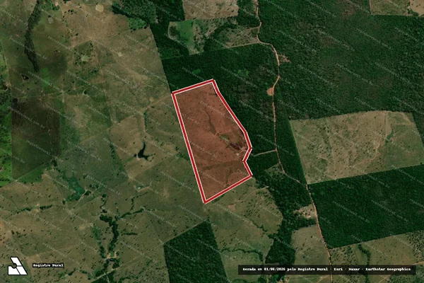 Imagem de satélite de Infração da Flora em Riachinho - TO