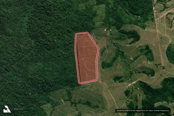 Imagem de satélite de Infração da Flora em Itaituba - PA