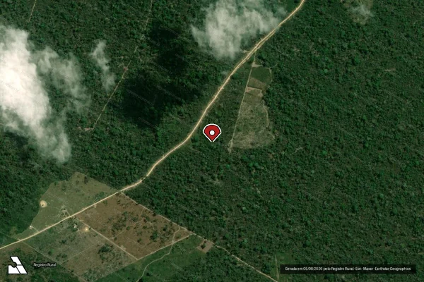 Imagem de satélite — Embargo IBAMA — Infração da Flora - Santarém/PA