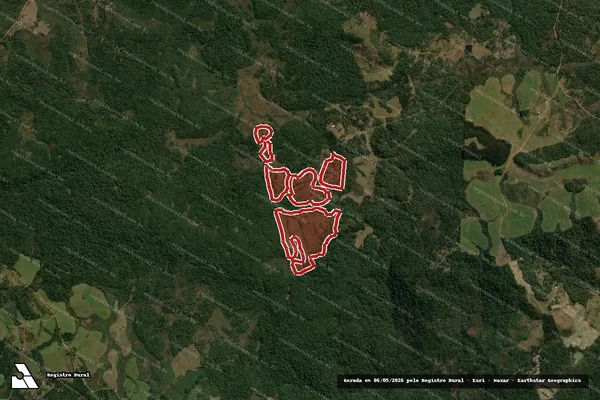 Imagem de satélite de Infração da Flora em Inácio Martins - PR