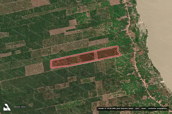 Imagem de satélite — Embargo IBAMA — Infração da Flora — Camocim/CE