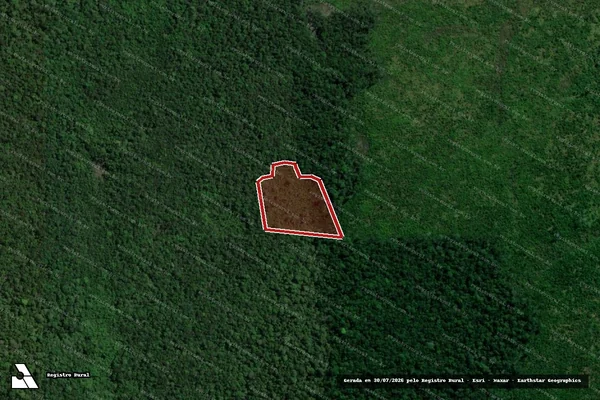 Imagem de satélite de Infração da Flora em Humaitá - AM