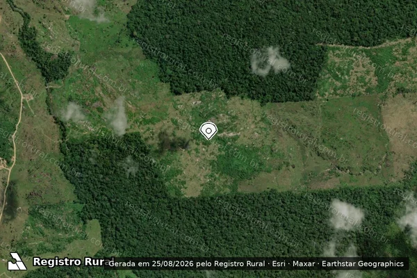 Imagem de satélite de Infração da Flora em Caroebe - RR (marcador da localização)