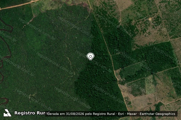 Imagem de satélite de Infração Ambiental em Novo Aripuanã - AM (marcador da localização)