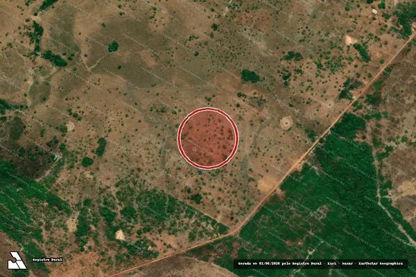 Imagem de satélite de Infração Ambiental em Goianorte - TO