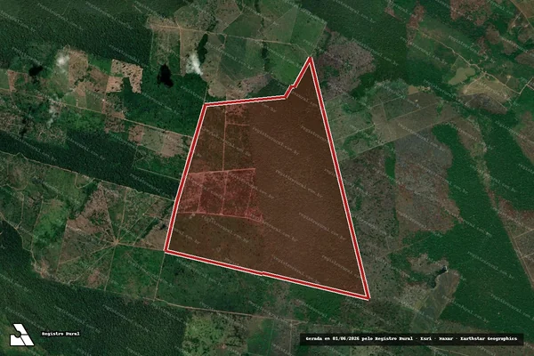 Imagem de satélite de Infração da Flora em Lábrea - AM