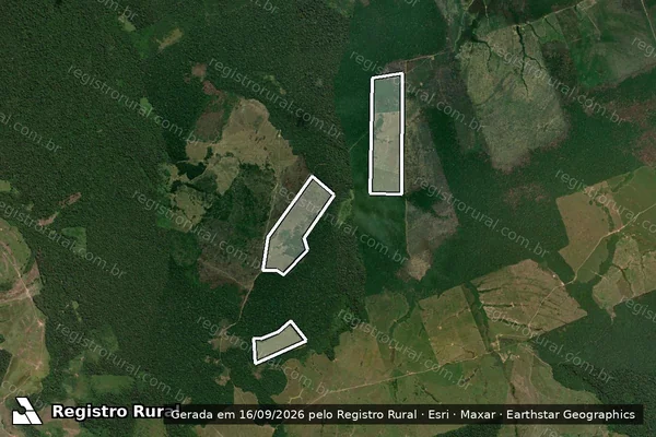 Imagem de satélite — Embargo IBAMA — Infração da Flora - Boca Do Acre/AM