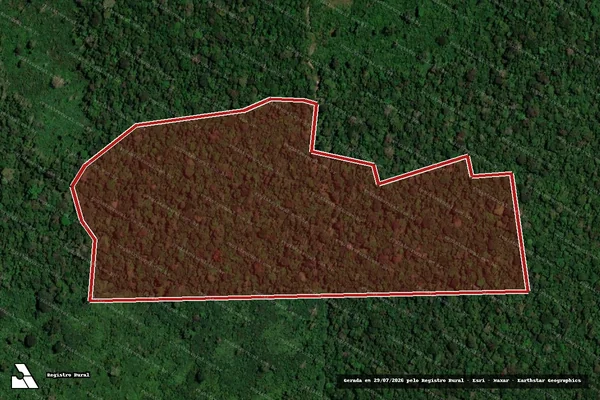 Imagem de satélite de Infração da Flora em Porto Velho - RO