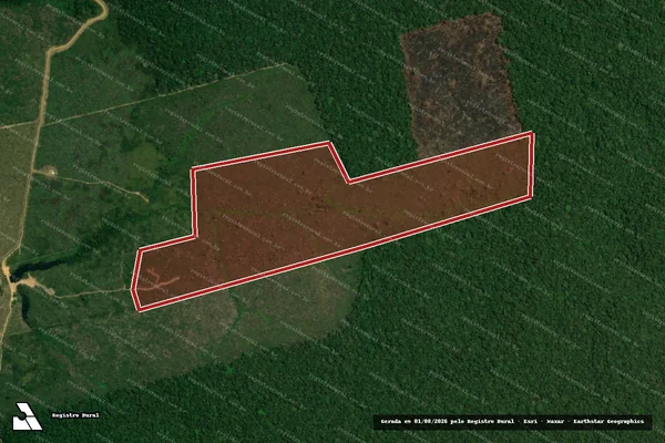 Imagem de satélite de Infração da Flora em Apuí - AM