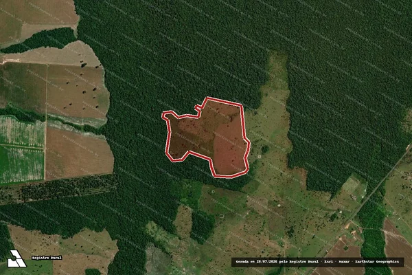 Imagem de satélite — Embargo IBAMA — Infração da Flora — Seringueiras/RO