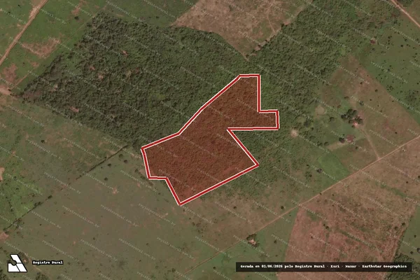 Imagem de satélite de Desmatamento em Santana do Araguaia - PA
