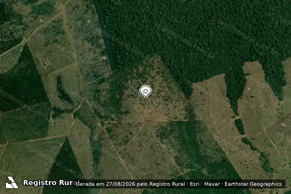 Imagem de satélite de Infração Ambiental em Apuí - AM (marcador da localização)
