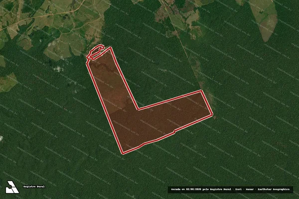 Imagem de satélite de Infração Ambiental em Apuí - AM