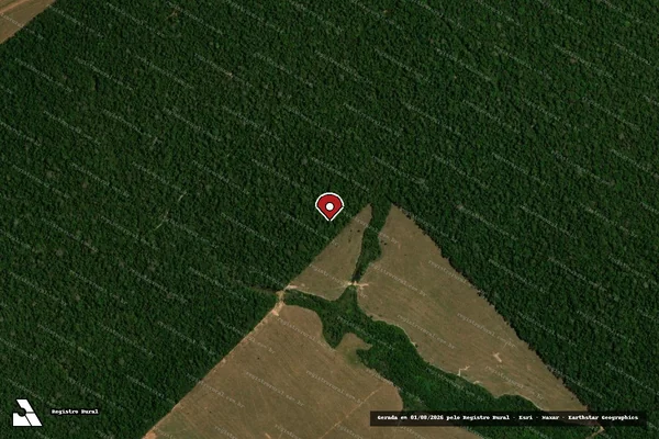 Imagem de satélite de Infração Ambiental em Juína - MT (marcador da localização)