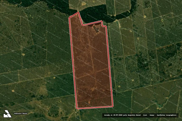 Imagem de satélite de Infração Ambiental em Porto Velho - RO