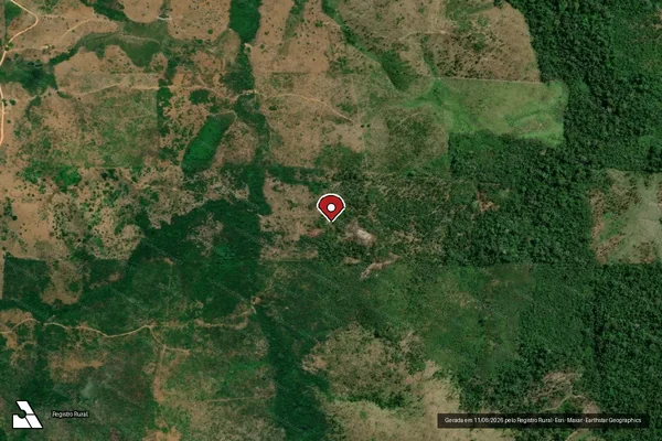 Imagem de satélite de Infração da Flora em Pacajá - PA (marcador da localização)