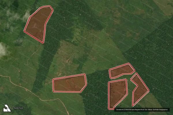 Imagem de satélite de Infração da Flora em Óbidos - PA