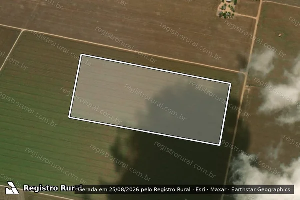 Imagem de satélite de Desmatamento em Querência - MT