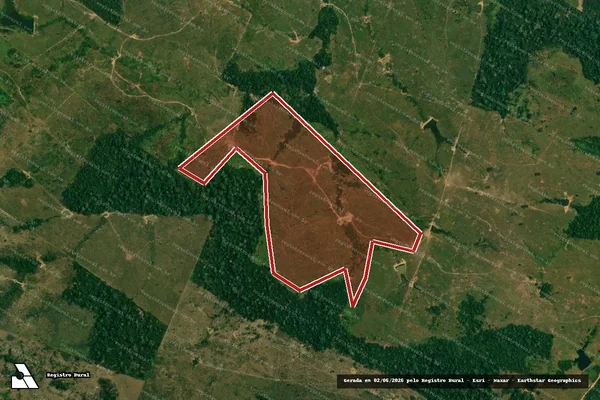 Imagem de satélite de Infração da Flora em Rio Branco - AC