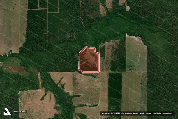 Imagem de satélite — Embargo IBAMA — Infração da Flora - Pimenta Bueno/RO