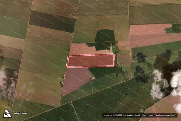 Imagem de satélite de Infração Ambiental em Querência - MT