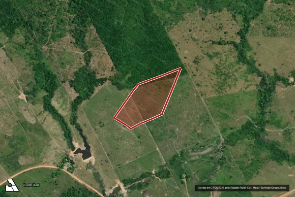 Imagem de satélite de Infração Ambiental em Mucajaí - RR