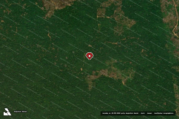 Imagem de satélite de Infração da Flora em Apiacás - MT (marcador da localização)