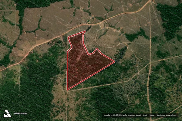 Imagem de satélite de Infração Ambiental em Colniza - MT