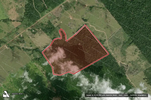 Imagem de satélite de Infração da Flora em Mucajaí - RR