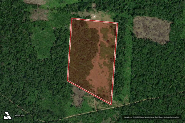 Imagem de satélite de Infração Ambiental em Oriximiná - PA