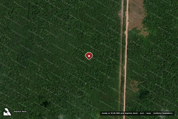 Imagem de satélite — Embargo IBAMA — Infração de Administração Ambiental(Não Classificada-Móvel) - Baião/PA