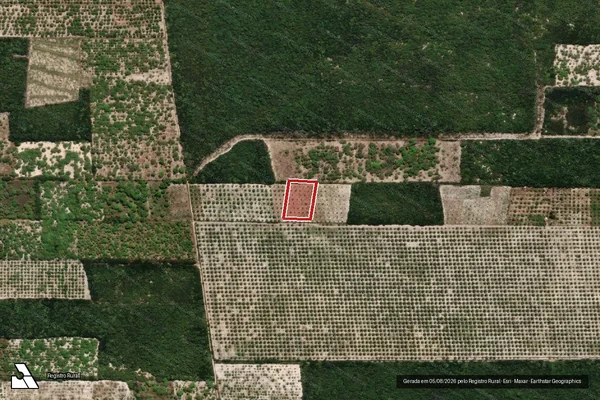 Imagem de satélite — Embargo IBAMA — Infração da Flora — Cruz/CE