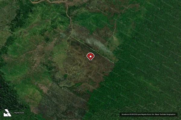 Imagem de satélite de Infração Ambiental em Novo Aripuanã - AM (marcador da localização)