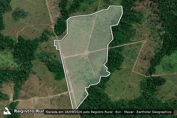 Imagem de satélite — Embargo IBAMA — Infração Ambiental - Itaituba/PA