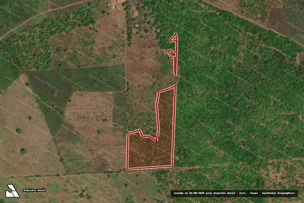 Imagem de satélite de Infração da Flora em Canindé de São Francisco - SE