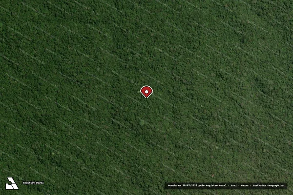 Imagem de satélite de Infração da Flora em Portel - PA (marcador da localização)