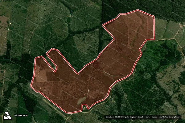 Imagem de satélite de Infração da Flora em Portel - PA