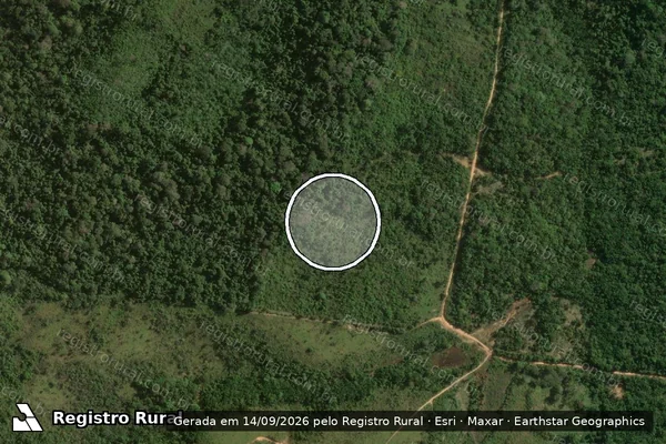 Imagem de satélite — Embargo IBAMA — Infração Ambiental - Itaituba/PA