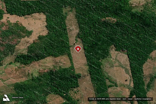 Imagem de satélite de Infração da Flora em Nova Bandeirantes - MT (marcador da localização)