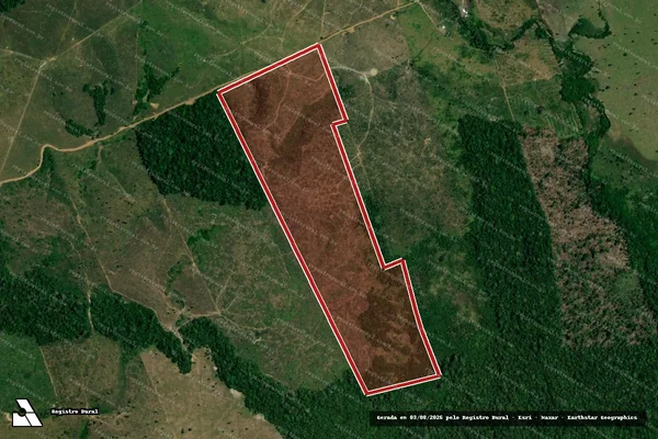 Imagem de satélite de Infração Ambiental em Apuí - AM