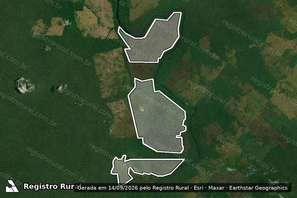 Imagem de satélite — Embargo IBAMA — Infração da Flora - Apuí/AM