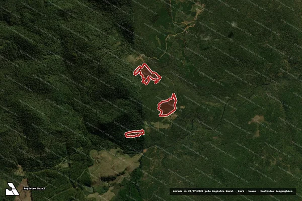 Imagem de satélite de Infração da Flora em General Carneiro - PR