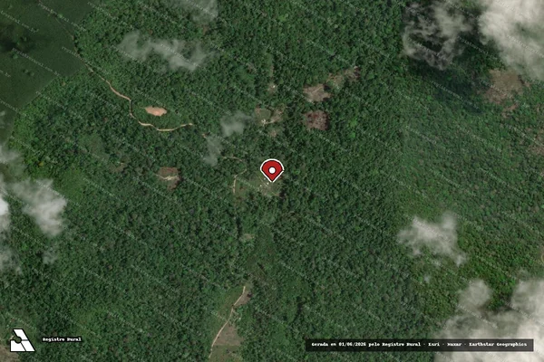 Imagem de satélite de Infração Ambiental em Vitória do Jari - AP (marcador da localização)